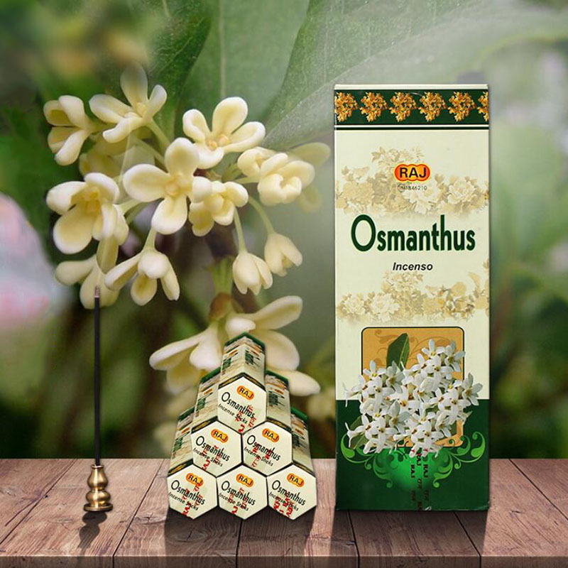 India Imported Incense Osmanth - đánh giá và giá Candle Supplies India