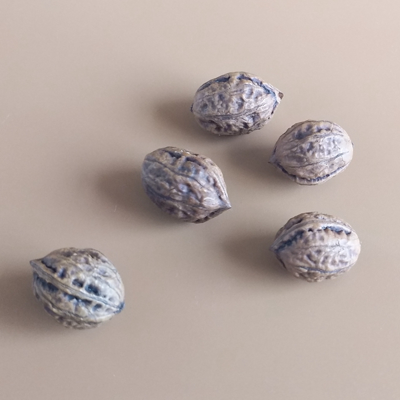 3d Small Walnut Silicone Molds - đánh giá và giá Candle Supplies Eu